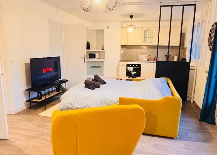 Le Coin Soleil - Netflix - Insead Fontainebleau