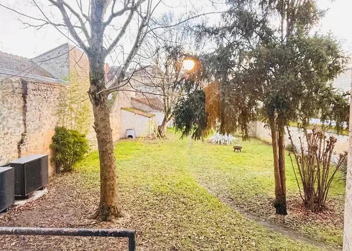 Le Coin Soleil - Netflix - Insead Fontainebleau