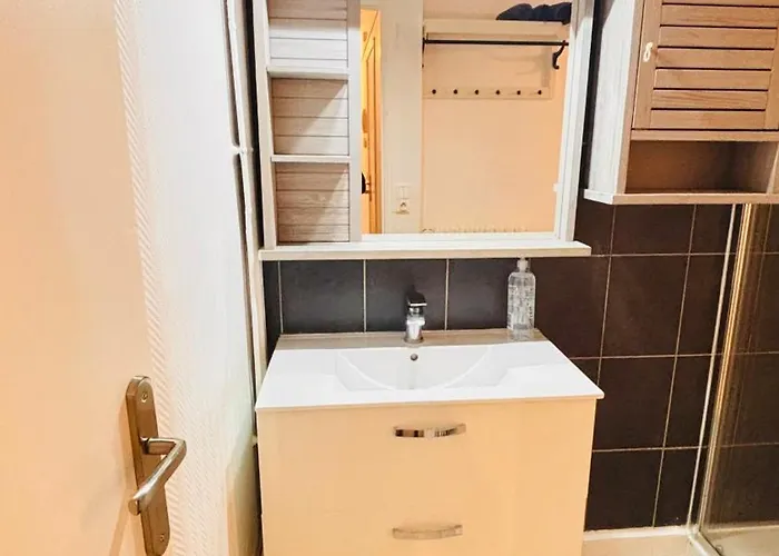 Appartement Le Coin Soleil - Netflix - Insead Fontainebleau